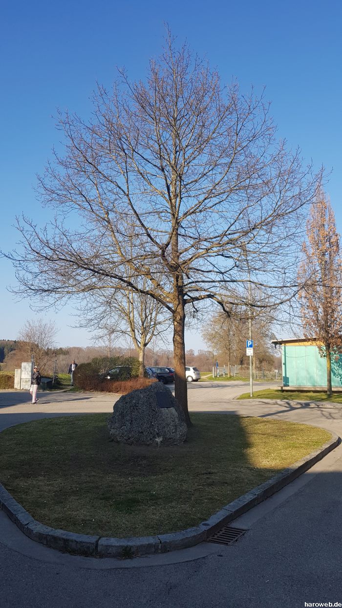 Hier fehlt noch das Bild